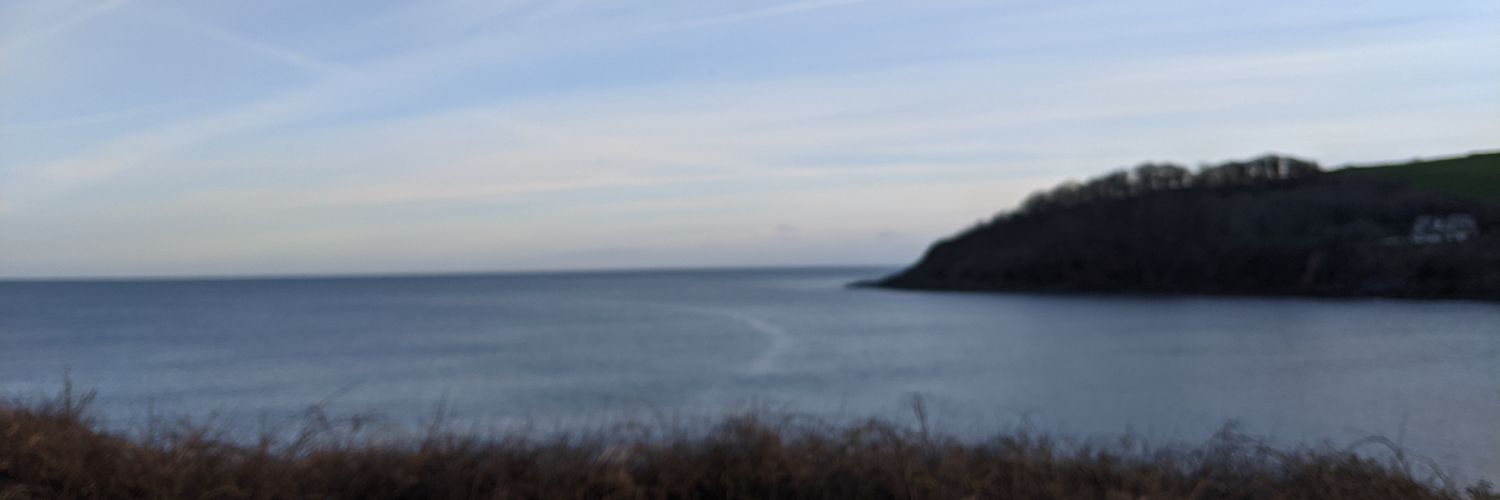 James Shamim banner
