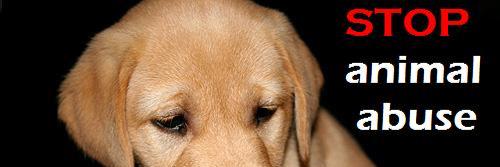 OpAnimalAbuse's profile banner image