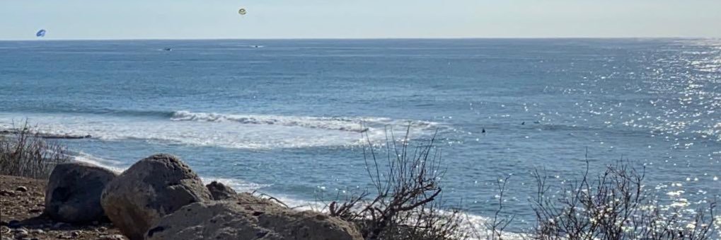 Gabriel González banner