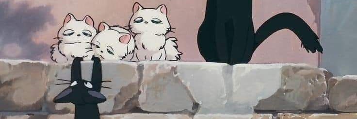 caeliamr's profile banner image