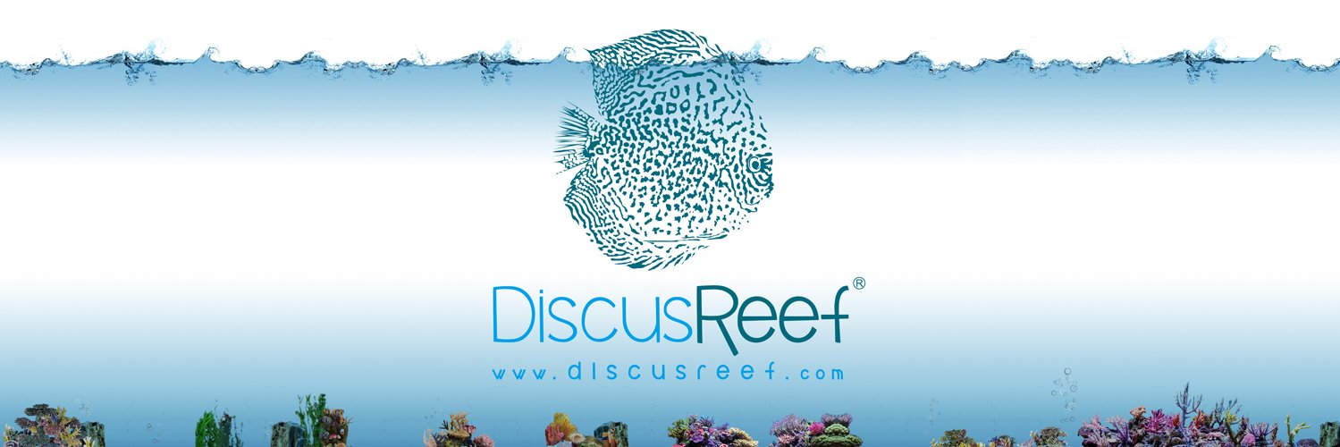 DISCUSREEF's profile banner image