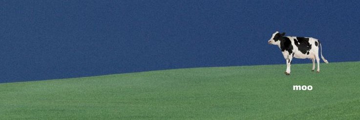 chivapchichyi's profile banner image