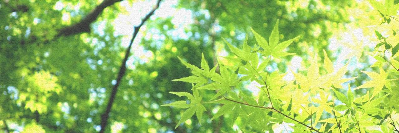 36001c's profile banner image