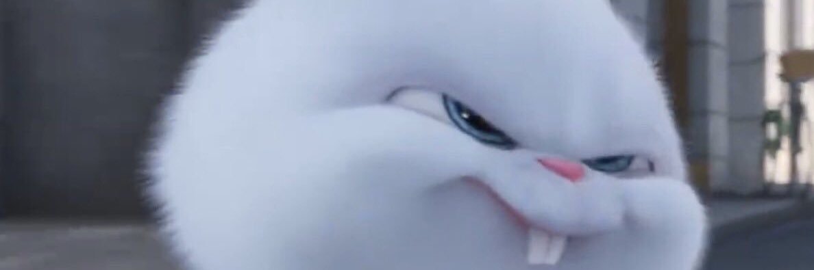 Solhpnnt's profile banner image