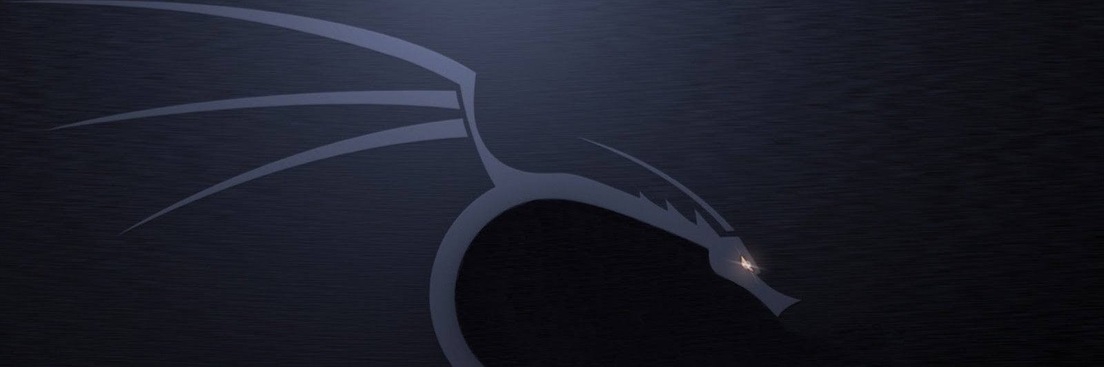 Brian Phillips banner