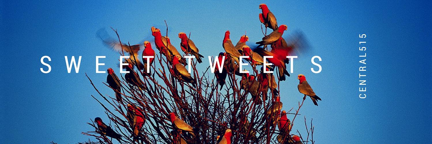 sherrysocial's profile banner image