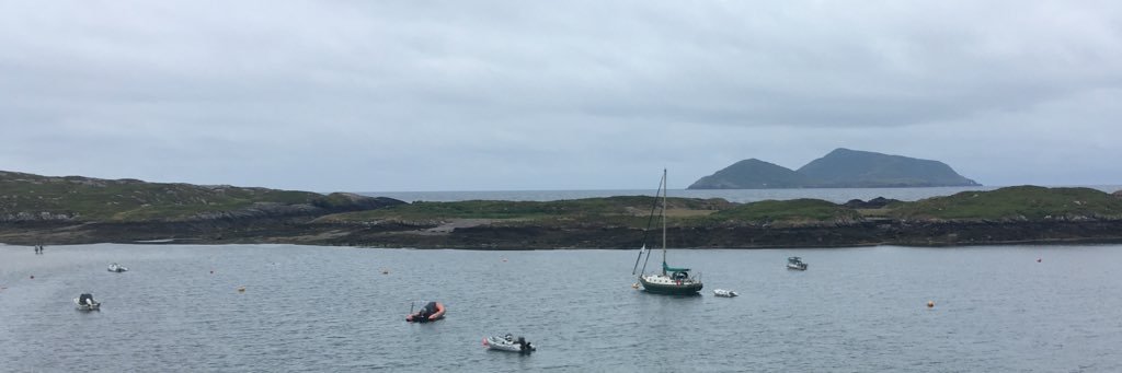 Sarah Thatt-Foley banner