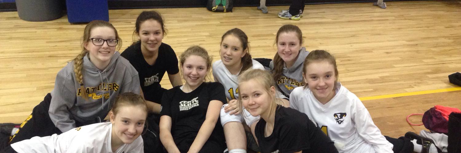 SEAVCVolleyball's profile banner image