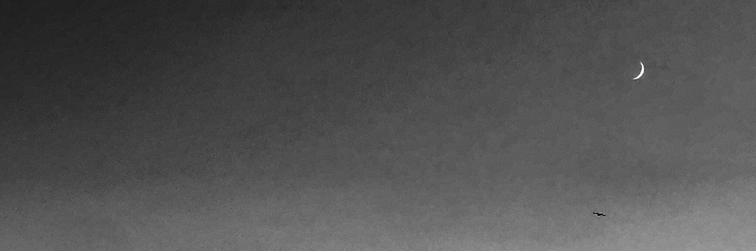ermiramlk's profile banner image