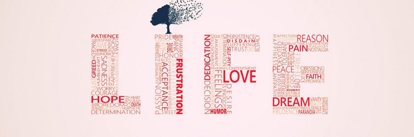 Oh_lz's profile banner image