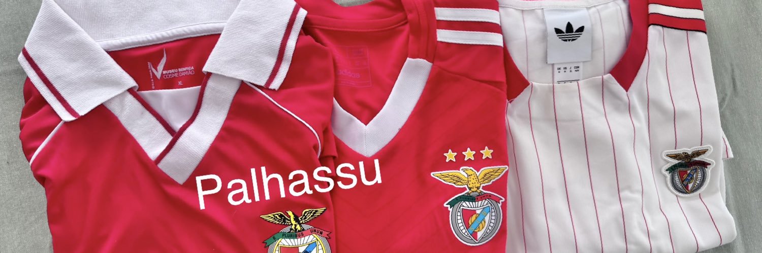 palhassuu's profile banner image
