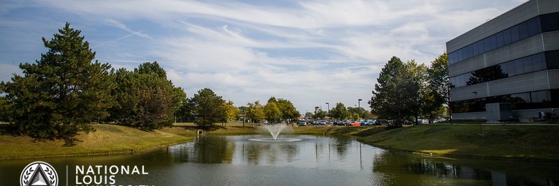 NLU_Wheeling's profile banner image