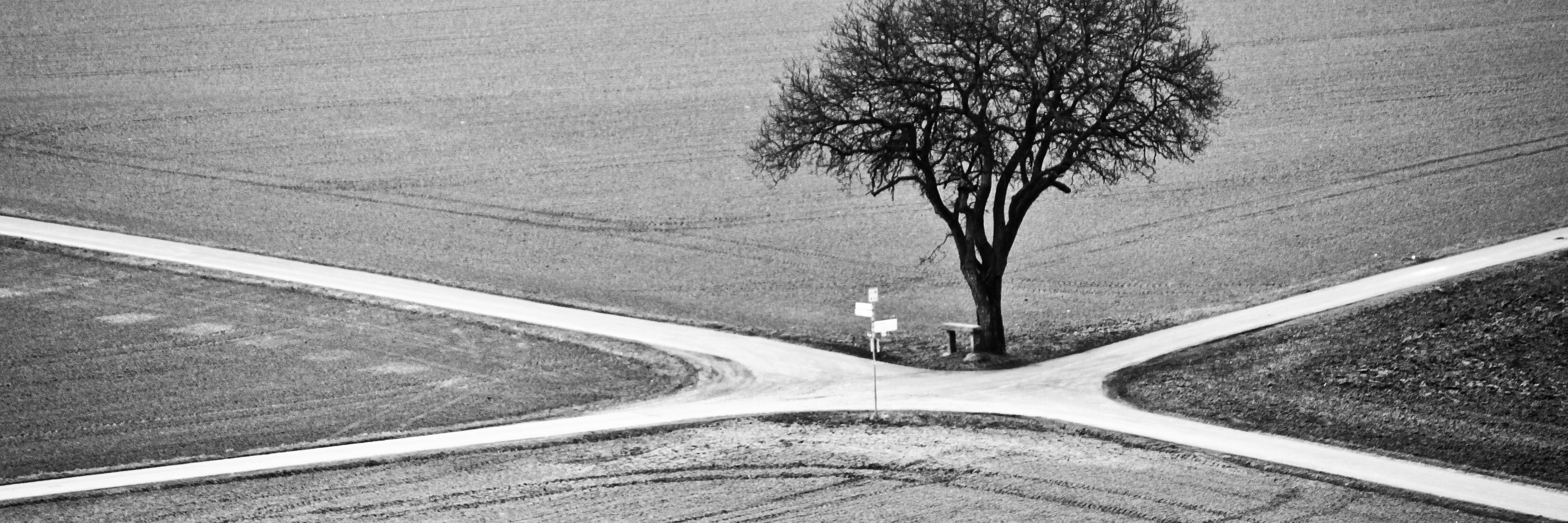 INTER-SECTION banner