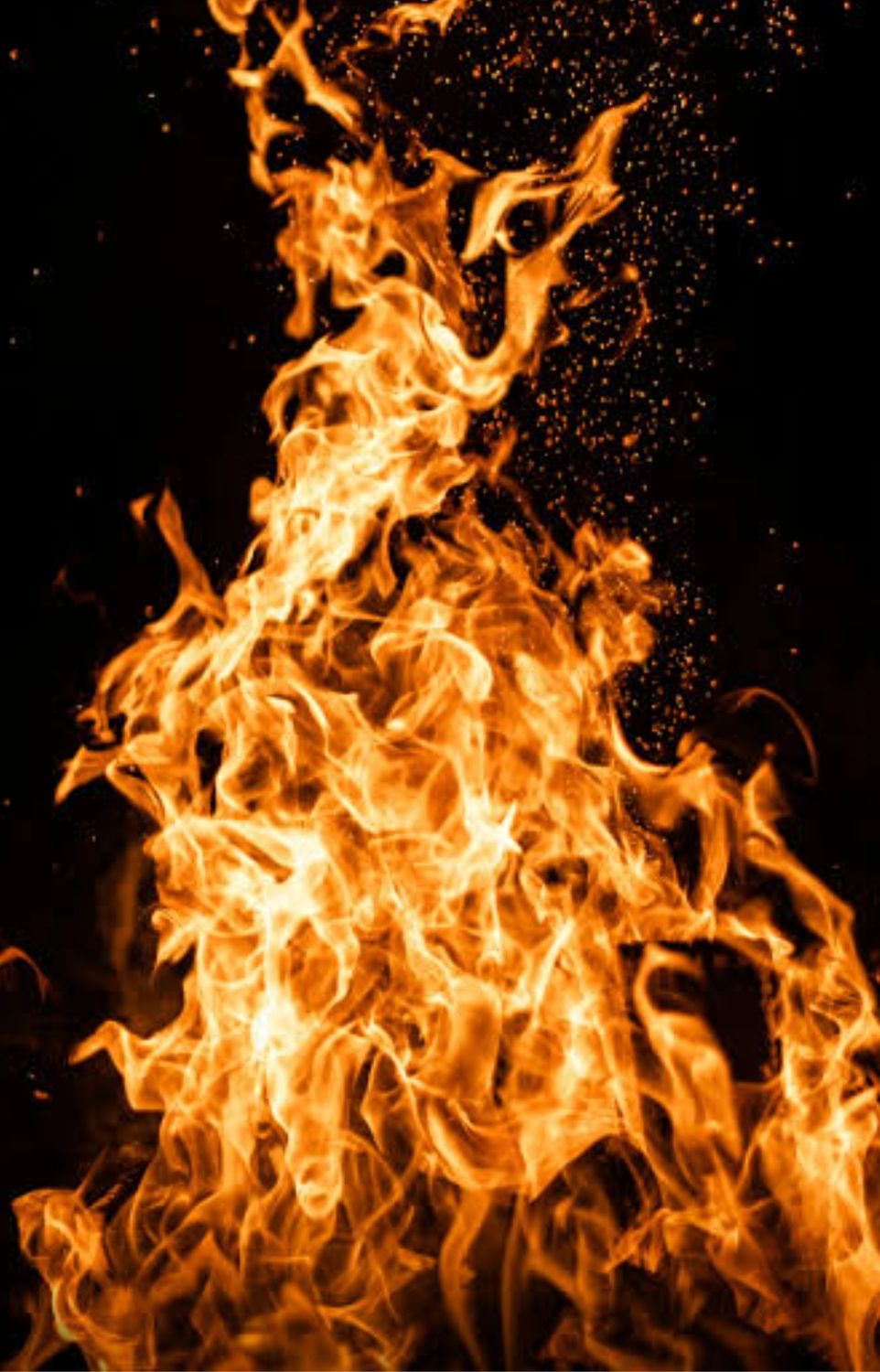 Cryptoeverytime's profile banner image