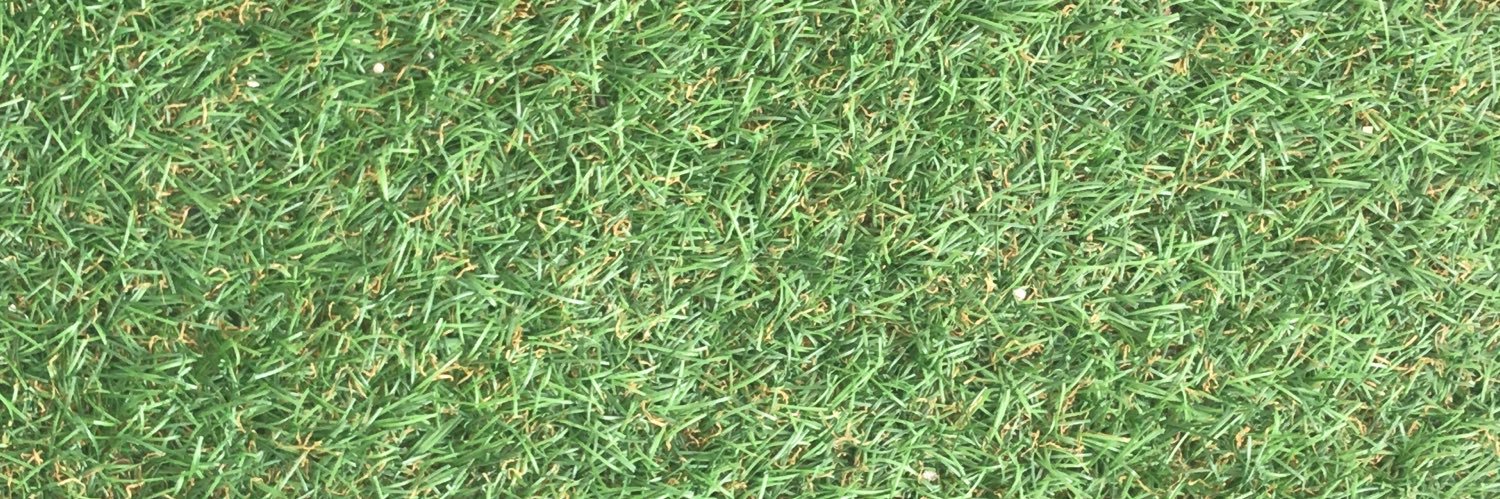martamosal's profile banner image