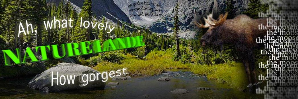 IcypokeED's profile banner image