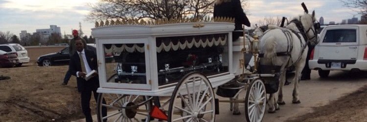 dtdo_'s profile banner image