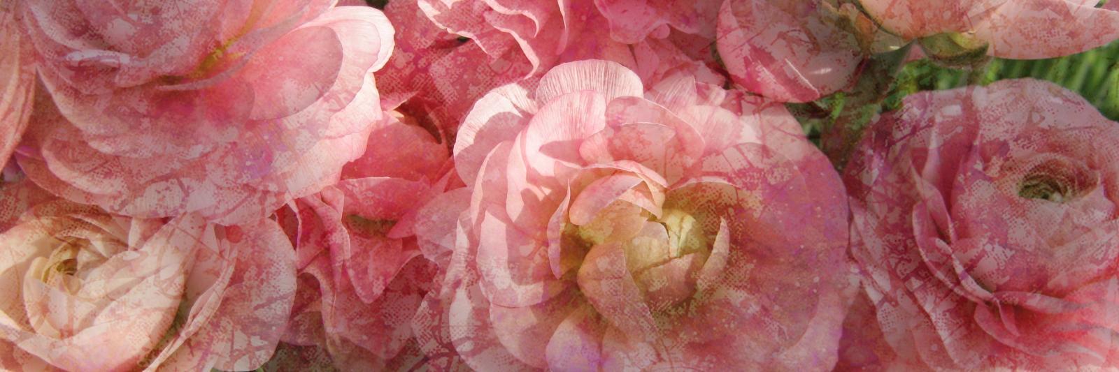 inukatsu2015's profile banner image