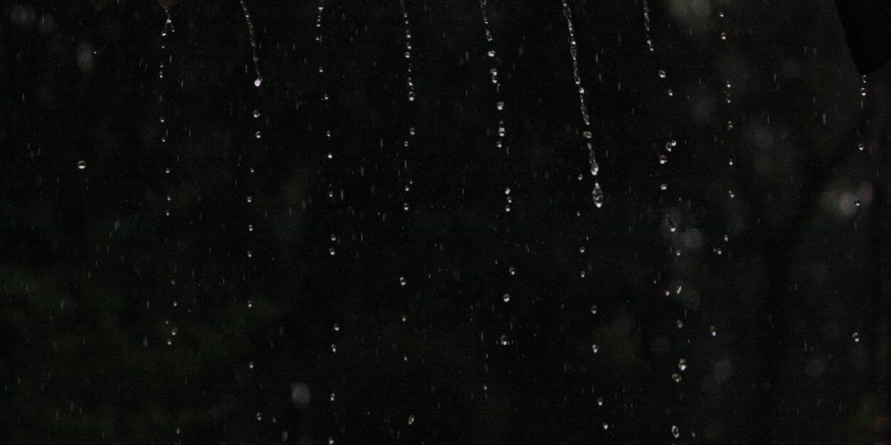 surabhibelli's profile banner image
