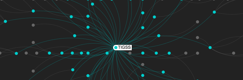 TIGSS banner