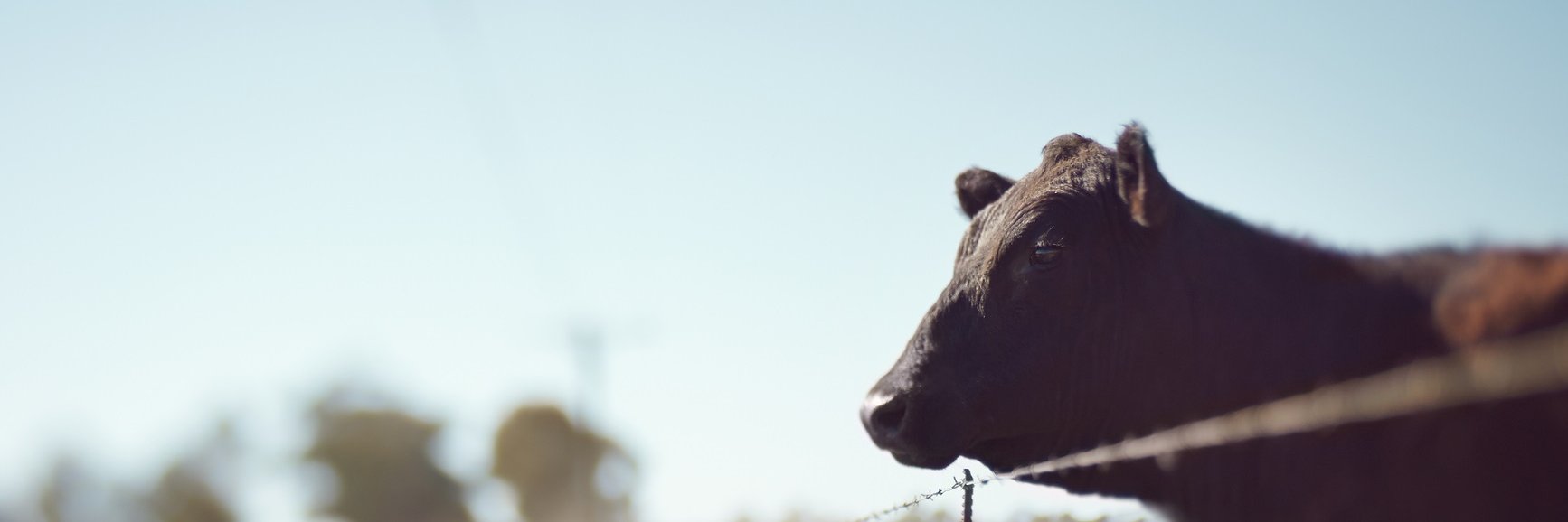 E3Meat's profile banner image