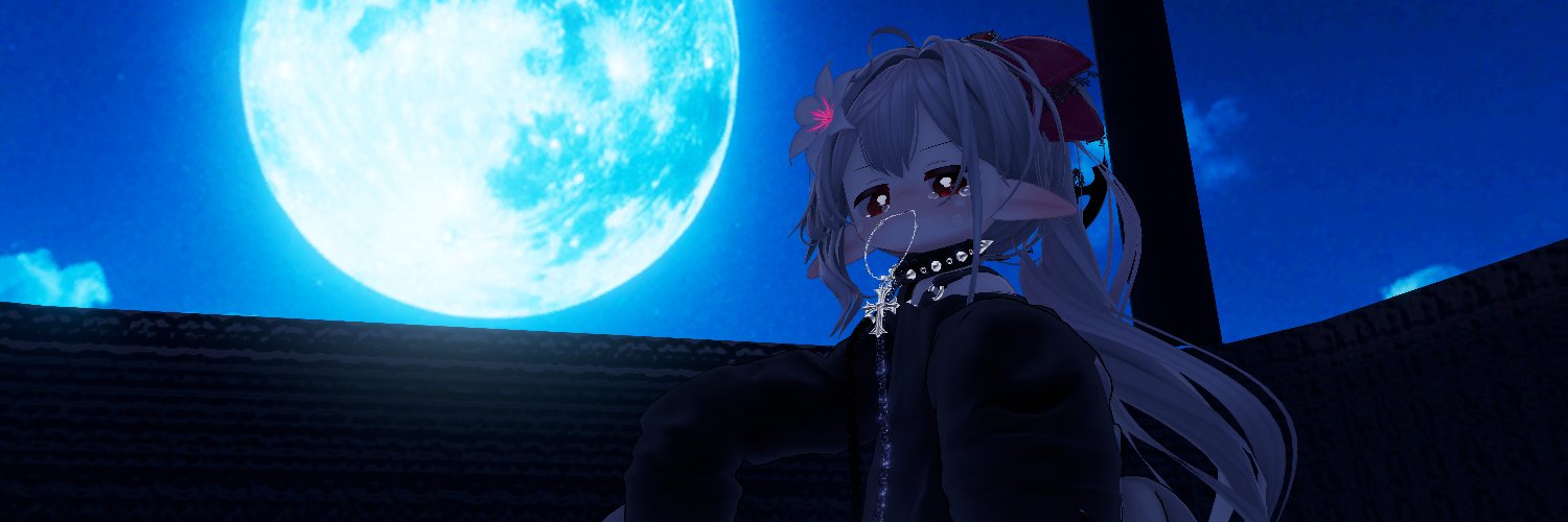 gokipon's profile banner image