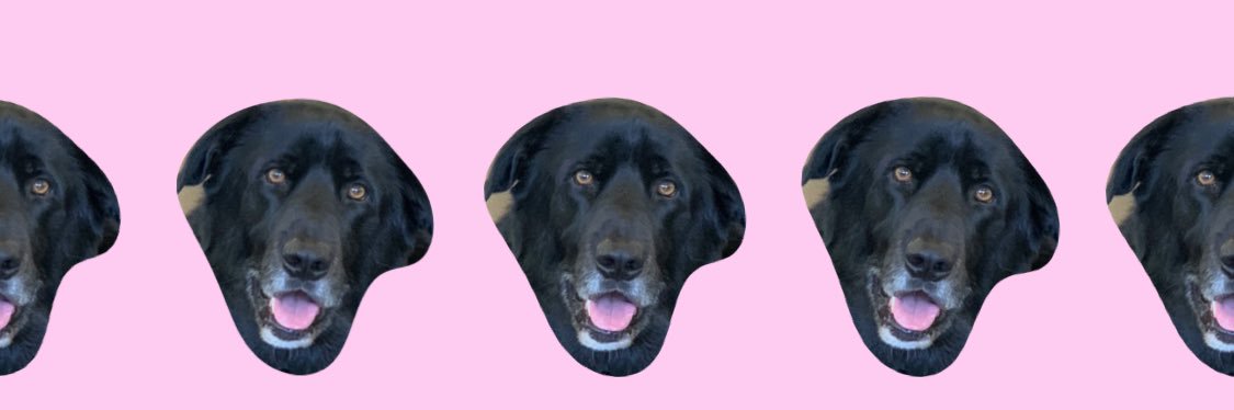 SqueakyBlonde's profile banner image