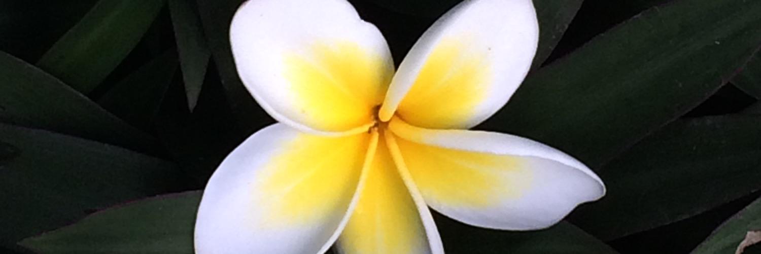 mimilkkk's profile banner image