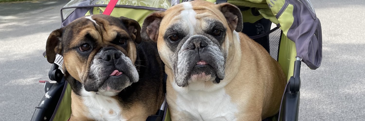 smithmaddy_'s profile banner image