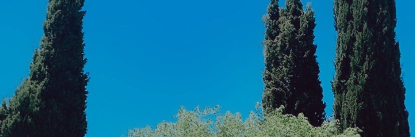 CataColl_'s profile banner image