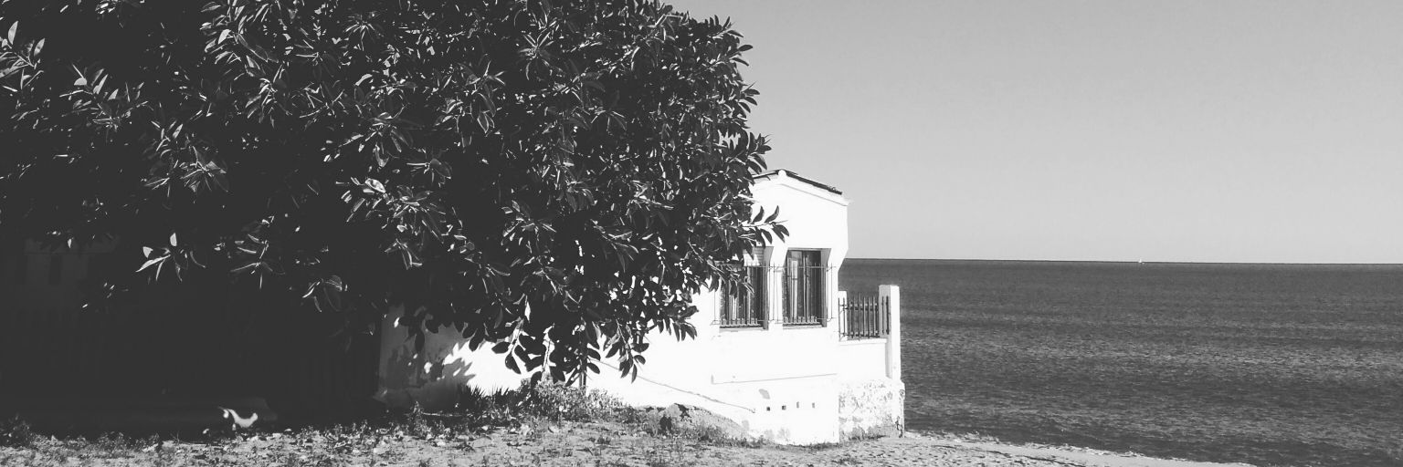 anaforpa's profile banner image