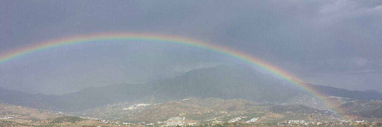 brfonsec's profile banner image