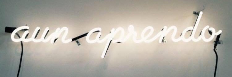 Lizbett Tinoco banner