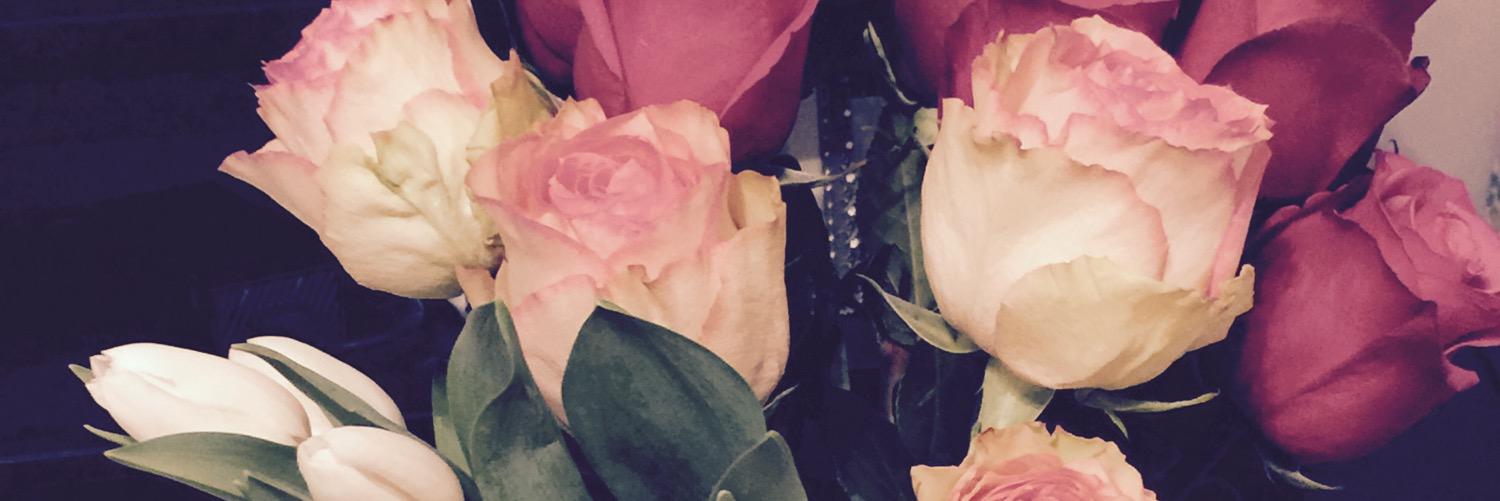 EmilyPiersma's profile banner image