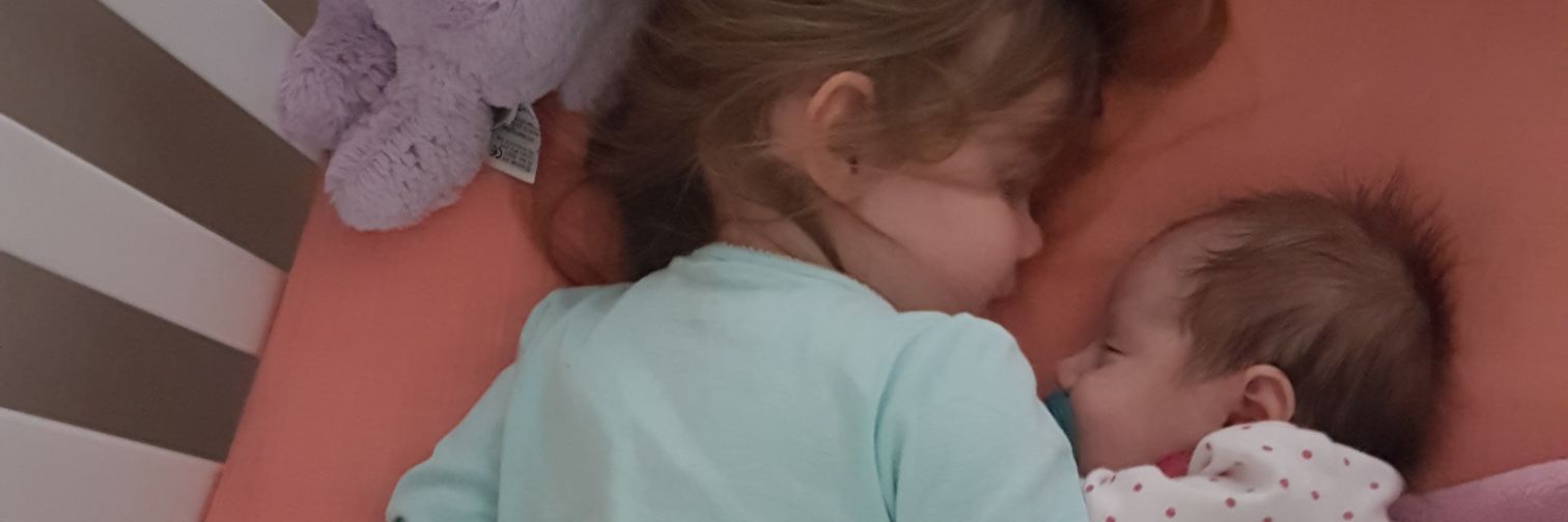 legendofcrod's profile banner image