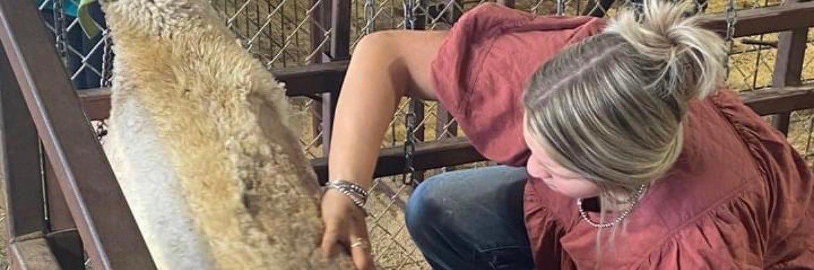 beccamcclur's profile banner image