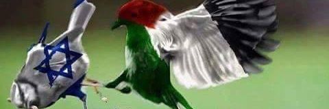 WillayattAli's profile banner image