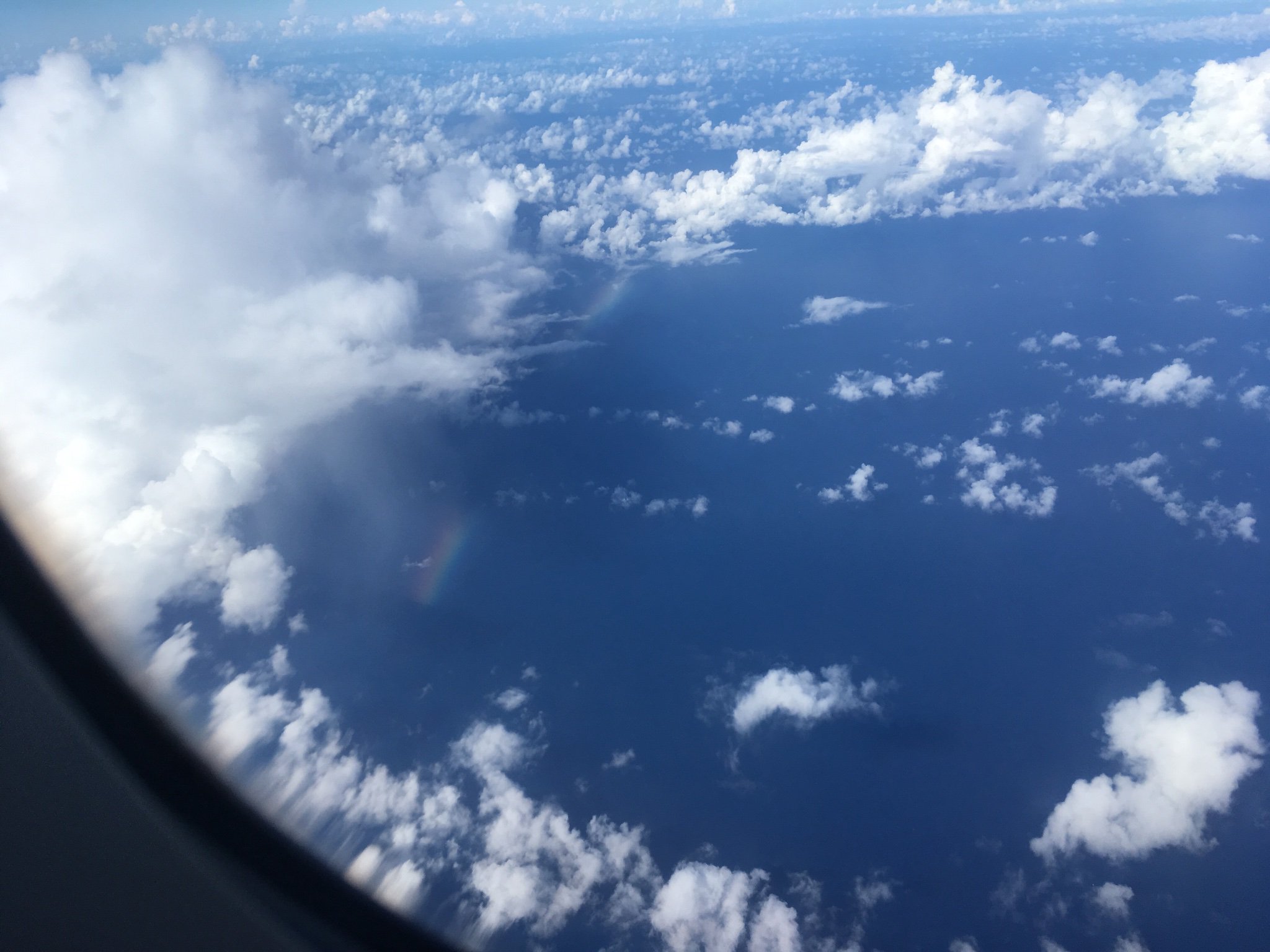 Sophia Albrecht banner