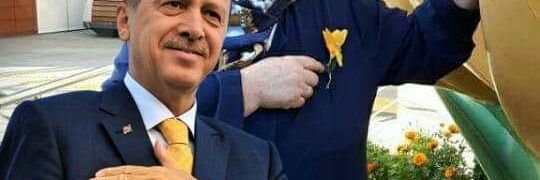 akyildiz3469's profile banner image