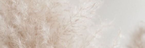 anaishbs's profile banner image