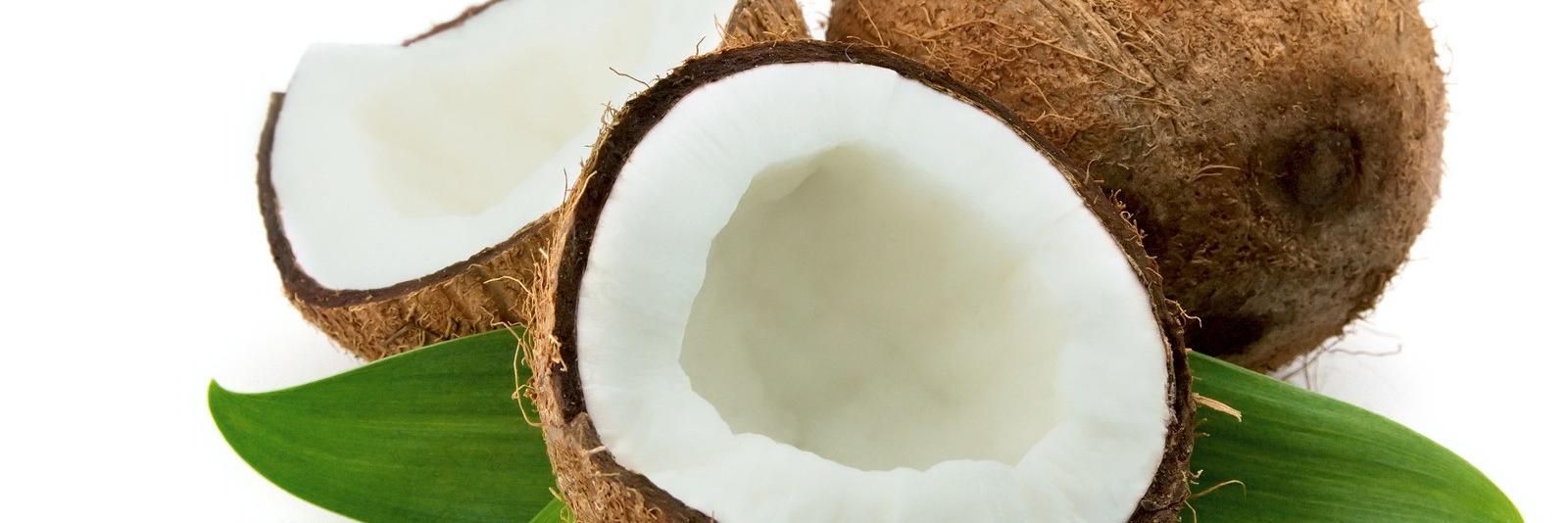 coconutbenefit1's profile banner image
