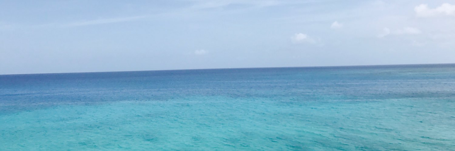 Amber Galloway banner