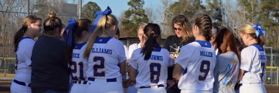 QHS_Softball's profile banner image