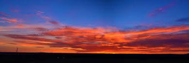 Jami Jacobson banner