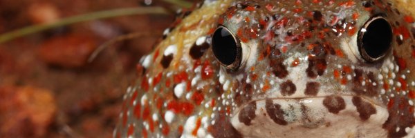 MattClancy94 Profile Banner