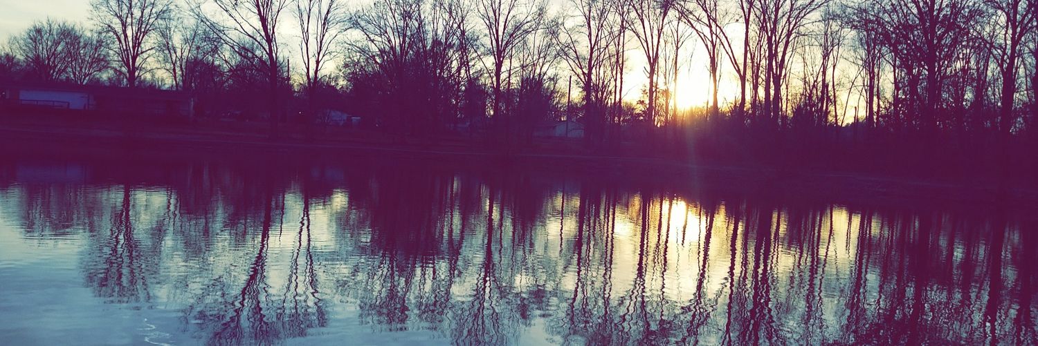 MinaElizabeth4's profile banner image