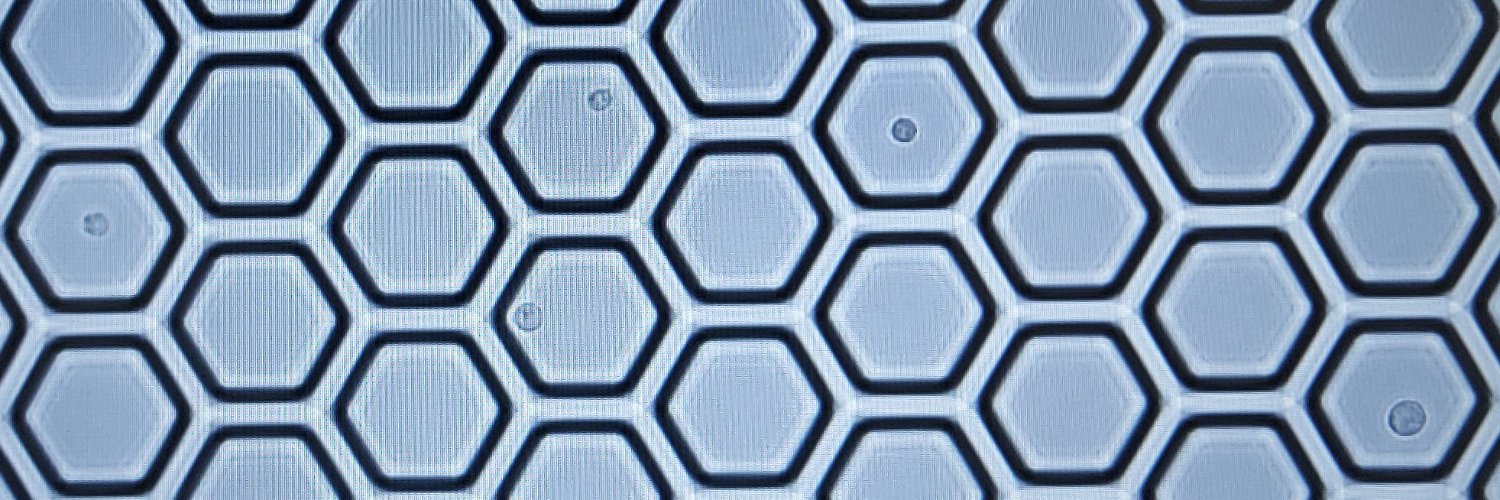 Dr. Neil Ashley banner