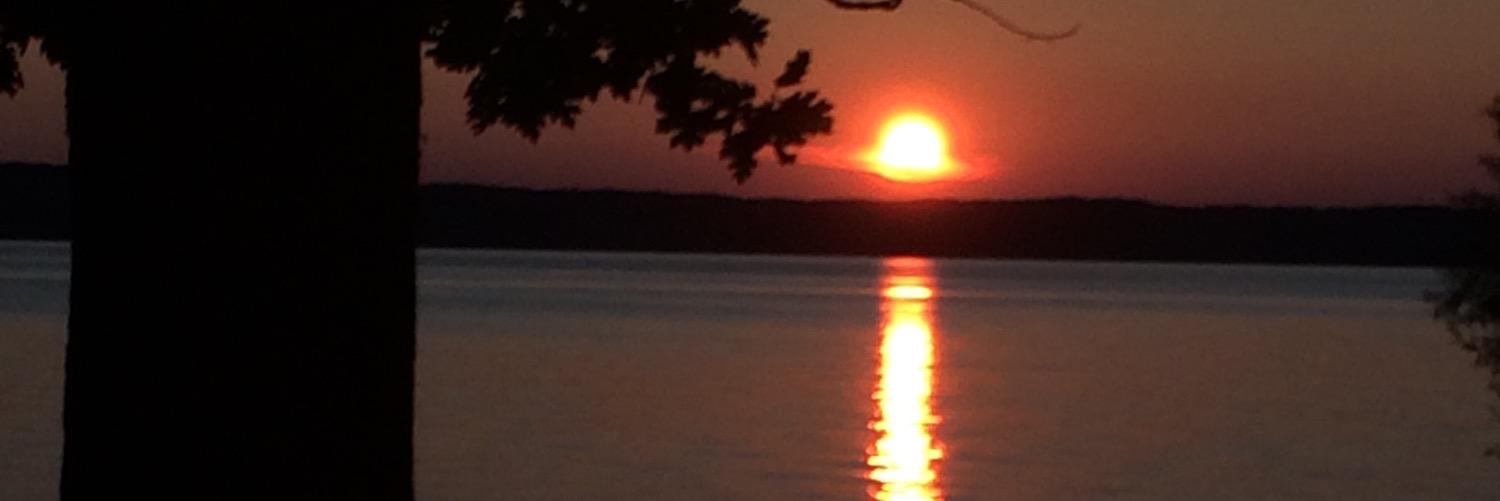 Meghan Martin banner