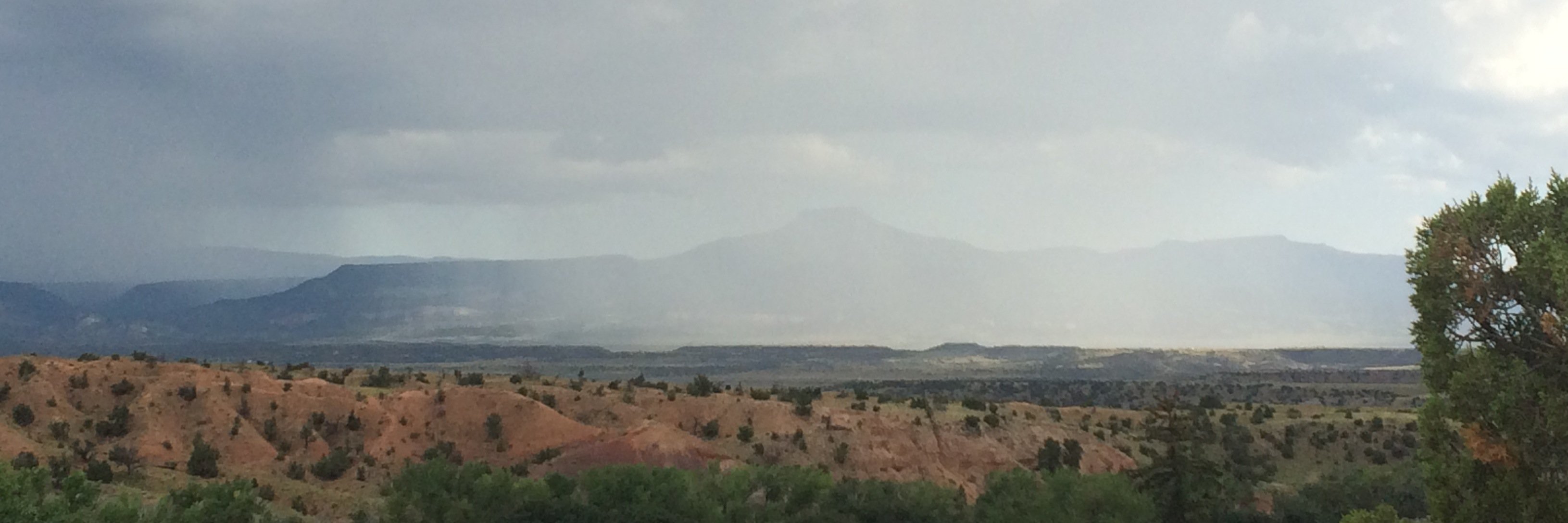 Shari Crane Fox, M.D. banner