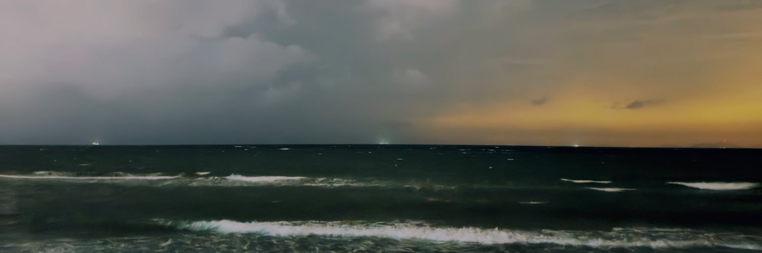 mertovic288's profile banner image